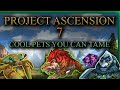 7 Cool Hunter Pets You Should Tame Today - WoW Ascension Season 7