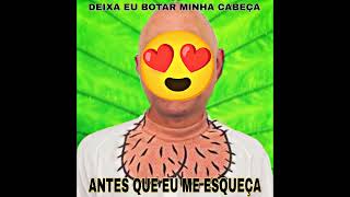 Antes Que Eu Me Esqueça Deixa Eu Botar Minha Cabeça