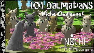 Searching For Spots Niche 101 Dalmatians Challenge - Episode