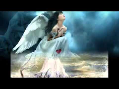 Almond pheuz  Sang Bidadari Penyelamatflv low