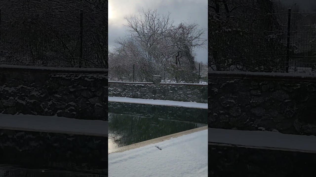 Acelya's Camera Obscura || I'm at home 🏡  