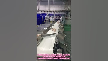 whole chicken weight sorting machine