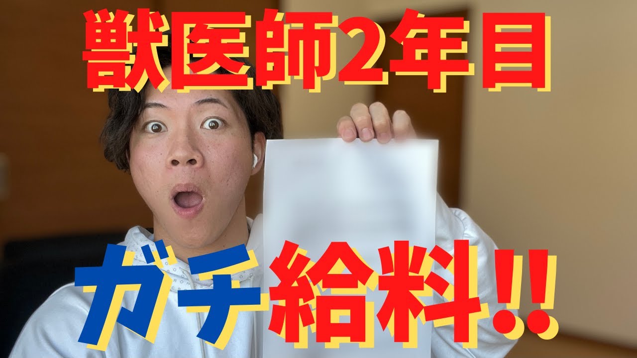 獣医師2年目のガチ給料！！包み隠さず全てを公開します！