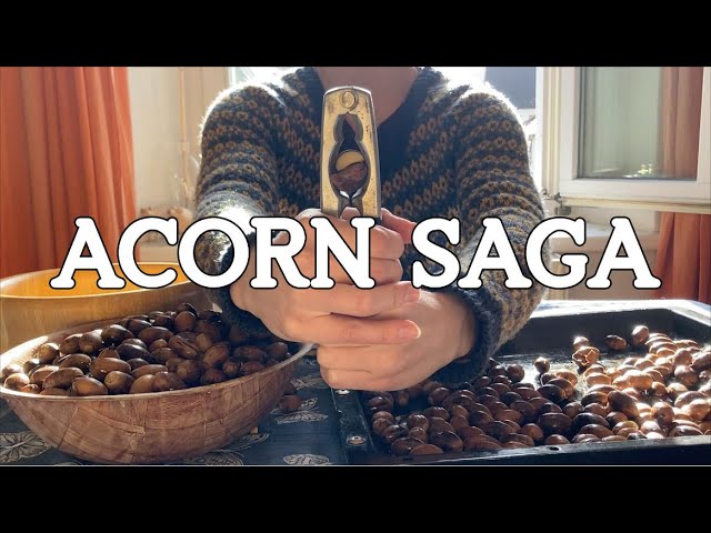 Episode 4: Acorn Saga