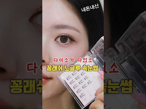 광고❌다이소 신상 꽁래쉬 노글루 속눈썹 6종 리뷰 이거 보면 사, 말아?!🔥