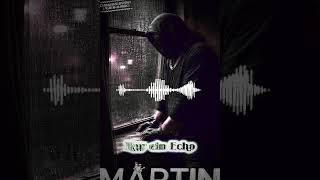 Nur ein Echo (VOLLVERSION) #remix #numetal #grunge  #deutschrap #shorts #musik #deutschrock