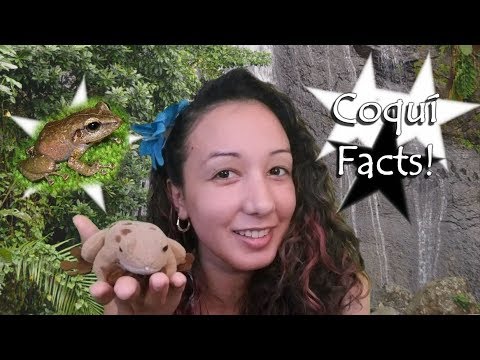 Coquí Facts Animal Amazement Season 1 Ep 3 Coquí Facts Animal Amazement Season 1 Ep 3