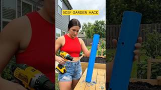 Easy DIY Gardening Hack Part 4 😮 #shorts #diy #gardening