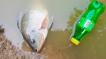 How To Make a Fish Trap With Plastic Bottle - Best Fishing Life Hacks!