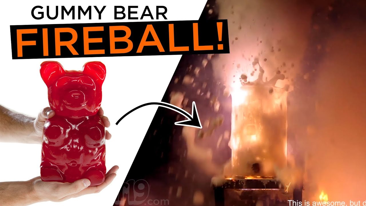 The 26-pound Party Gummy Bear: Gigantic gummy candy