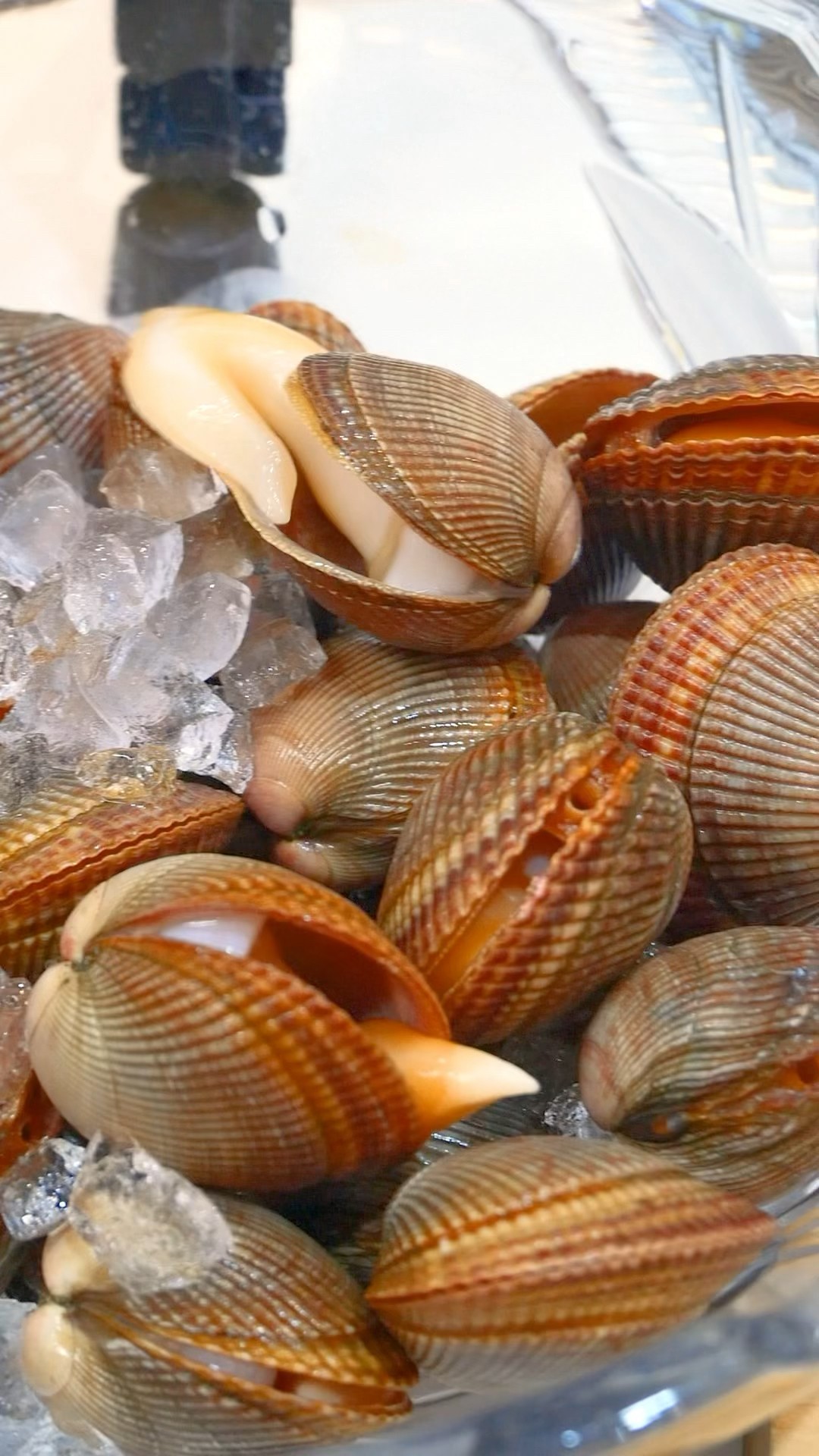 Mysterious Shell　Ishikage shellfish