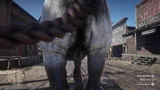 Red Dead Redemption 2 Horse Poops On Me