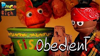 Paco & the Fish: OBEDIENT! 😂 “O-Be-Doin’-It” | Jesus & the Rich Young Ruler | Bible Stories for Kids