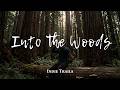 Forest Walk | Calm Acoustic Indie Folk