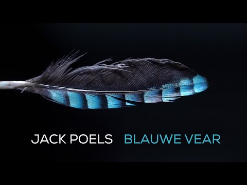 Jack Poels - Blauwe Vear (Official Video)