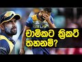 චාමිකට හදිසියේම තරඟ තහනමක් දැම්මේ ඇයි? Chamika Karunarathna News Cricket Sri Lanka