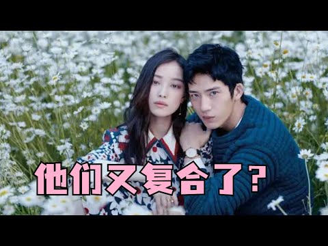 井柏然倪妮以共同名义捐赠救护车，分手两年疑似旧情复燃？