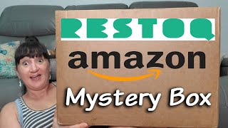 RESTOQ Mystery Box | New Amazon Items | Was It Worth What I Paid?