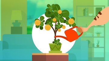 Animated Explainer Video Production Company. VIDEOSEOO.com - Explainer video for any mission.