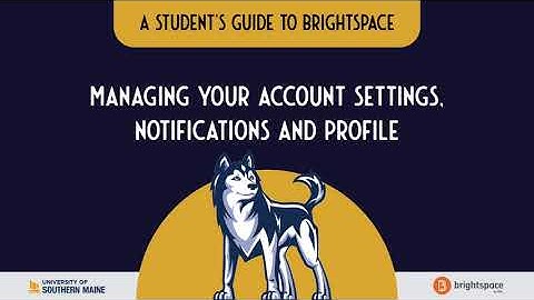 Managing your Account Settings, Notifications, and Profile