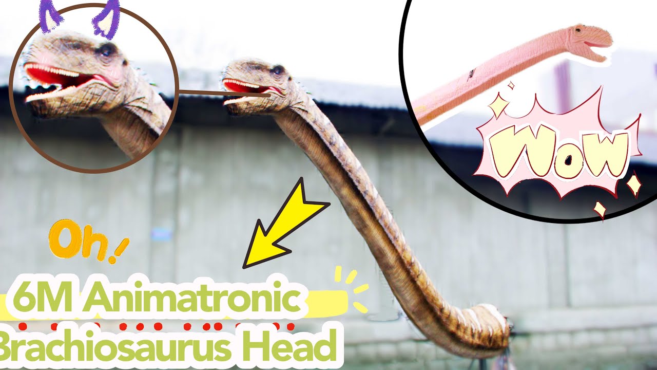 6M Animatronic Brachiosaurus Head | Animatronic Dinosaur Head