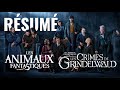 On vous rsume les animaux fantastiques et les crimes de grindelwald 