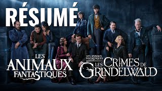 On vous résume les Animaux Fantastiques et les Crimes de Grindelwald !