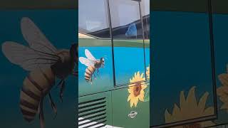 Als 271 S E Padang...