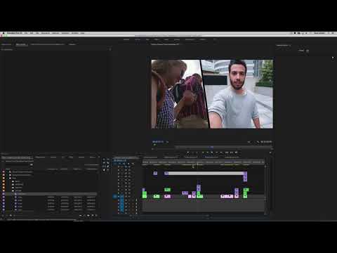 Comment utiliser Rampant Voyage style Mattes dans Adobe Premiere Pro
