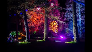 Hever Castle Christmas Lights 2021 | Hever Castle Christmas Lights Trail | 4K Video