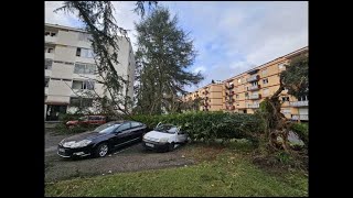Les dégâts à Pau après le passage de la tempête Nils