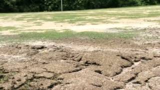 Overton Park Golf Course