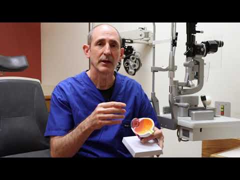 Floaters with Dr. Albert Edwards, MD, Ph.D.
