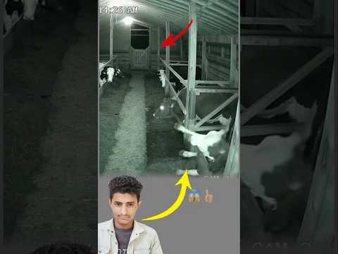 خوف لا ي رى أصابها في الظلام وكأن قدر ا خفي ا مر من هنا Youtubeshorts Viral Love Like