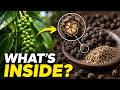 What’s Inside Black Pepper? How a Green Berry Becomes the World’s Favorite Spice