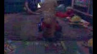 Jaiden walking behind wagon