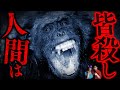 【凶悪猿】人間に母を殺された…復讐の人間殺戮チンパンジー・ブルーノ