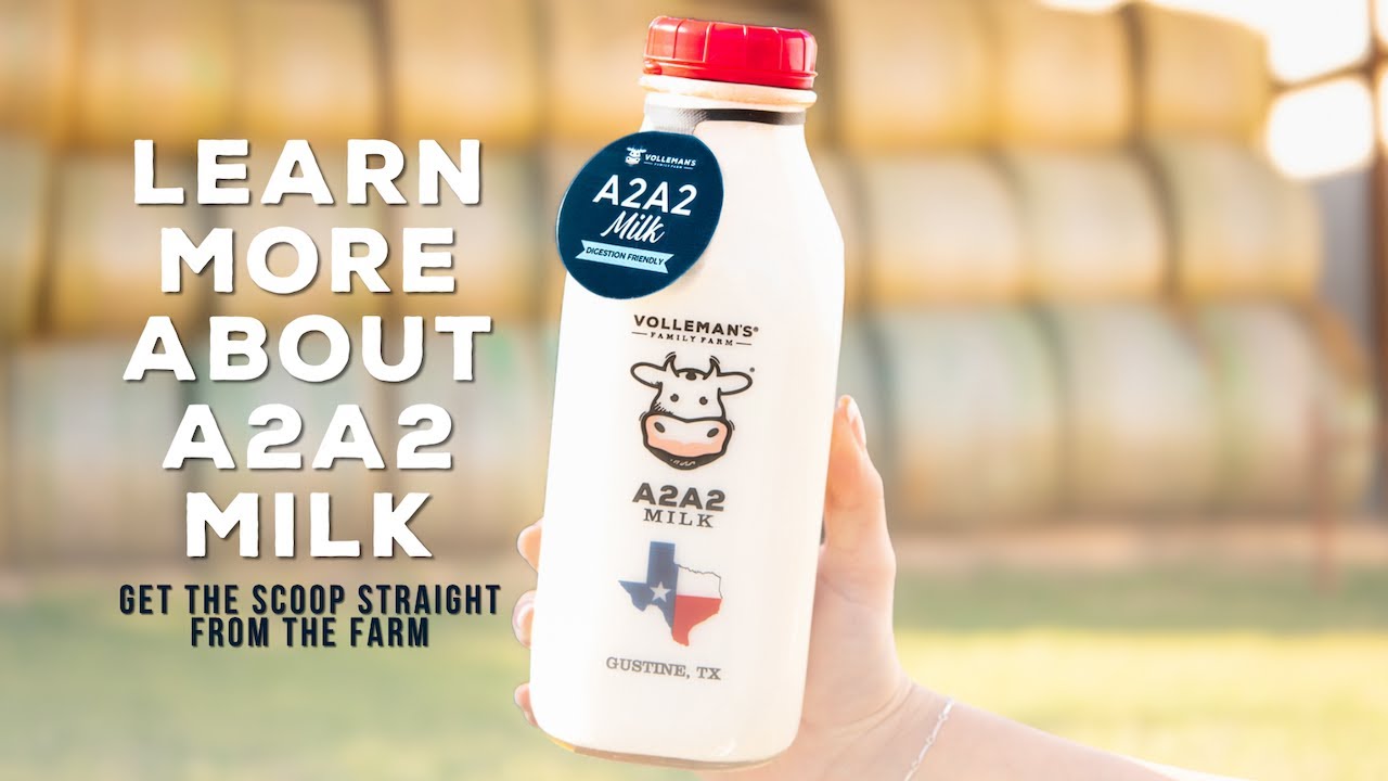 A2A2 Milk: What it is and Why it Matters - YouTube
