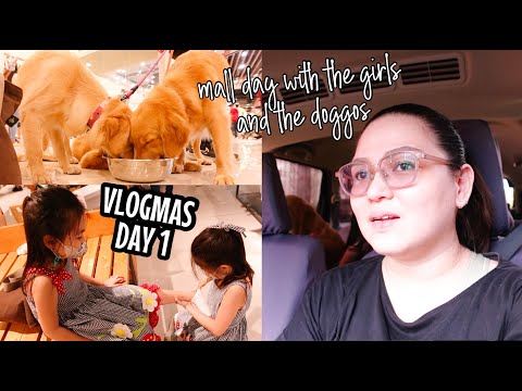 2022 Vlogmas Day 1: Errands Day, Taking the Dogs to the Groomers, Buying the Girls New Shoes