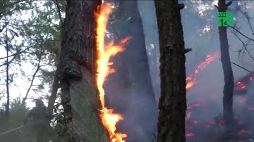 Nghệ An  Hai người tử vong do cứu hạn và chữa cháy rừng   VTC14