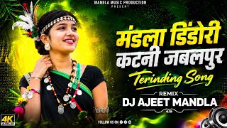 DJ MANDLA DINDORI KATNI JABALPUR TERINDING CG SONG (NON-STOP) DJ AJEET MANDLA MIX__________
