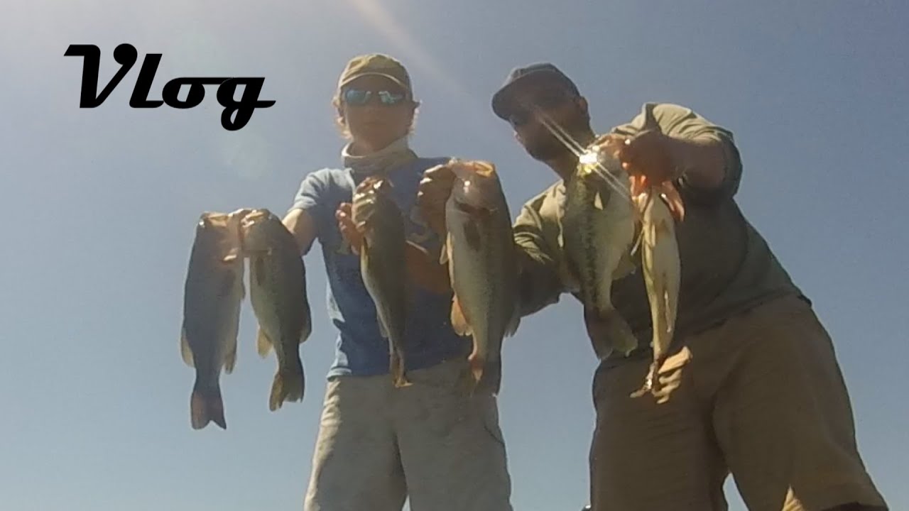 Bass vlog опель