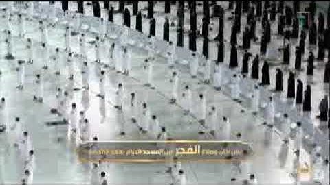 صلاة فجر اليوم من بيت الله الحرام للشيخ بندر بليلة! سورة فصلت وخواتيم سورة الشورة قرأءة تفوق الوصف👌