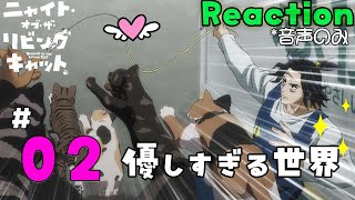 ニャイト・オブ・ザ・リビングキャット 同時視聴
