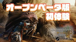 【モンハンワイルズ】狩猟生活始めました！！！！！