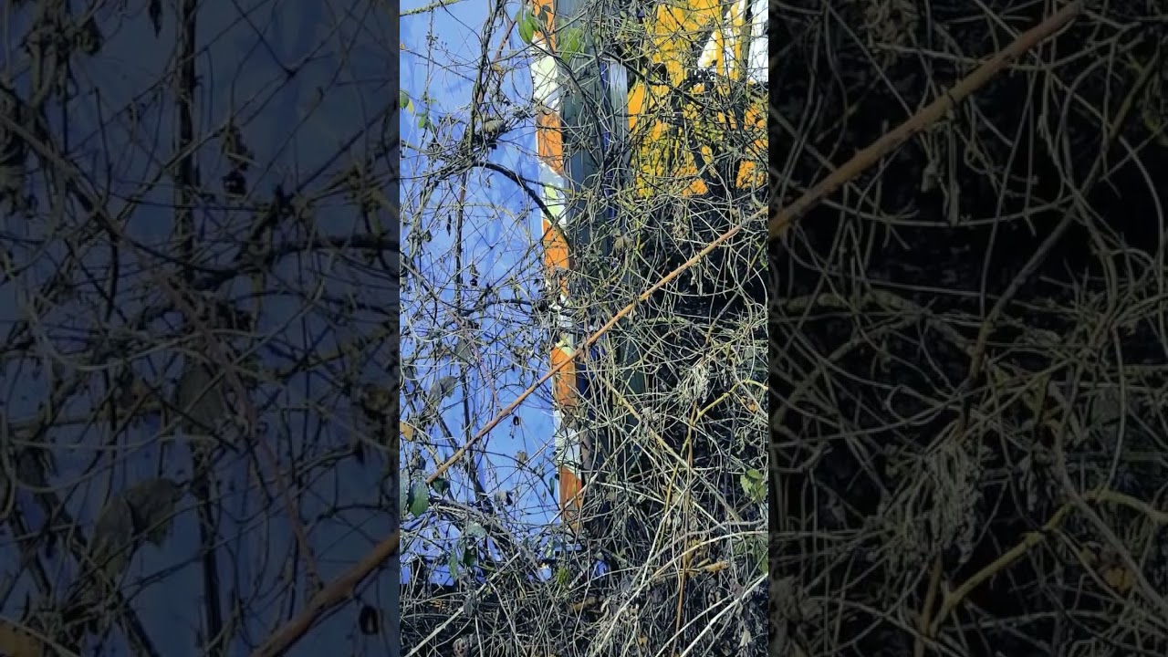 Lost SIEMENS Container 