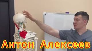 Как востановить кровообращение мозга.