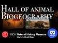 VR180 - Virtual Tour - Hall of animal biogeography - Museum of natural history