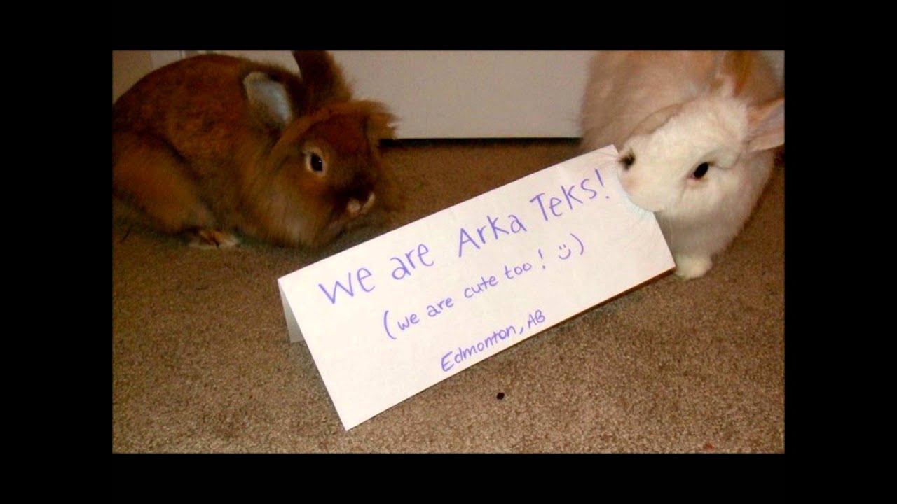 The Arka Teks - Under the City Lights