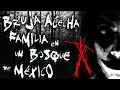 Relatos de Brujas: Bruja acecha a familia en un bosque de México | Frecuencia Paranormal | FP